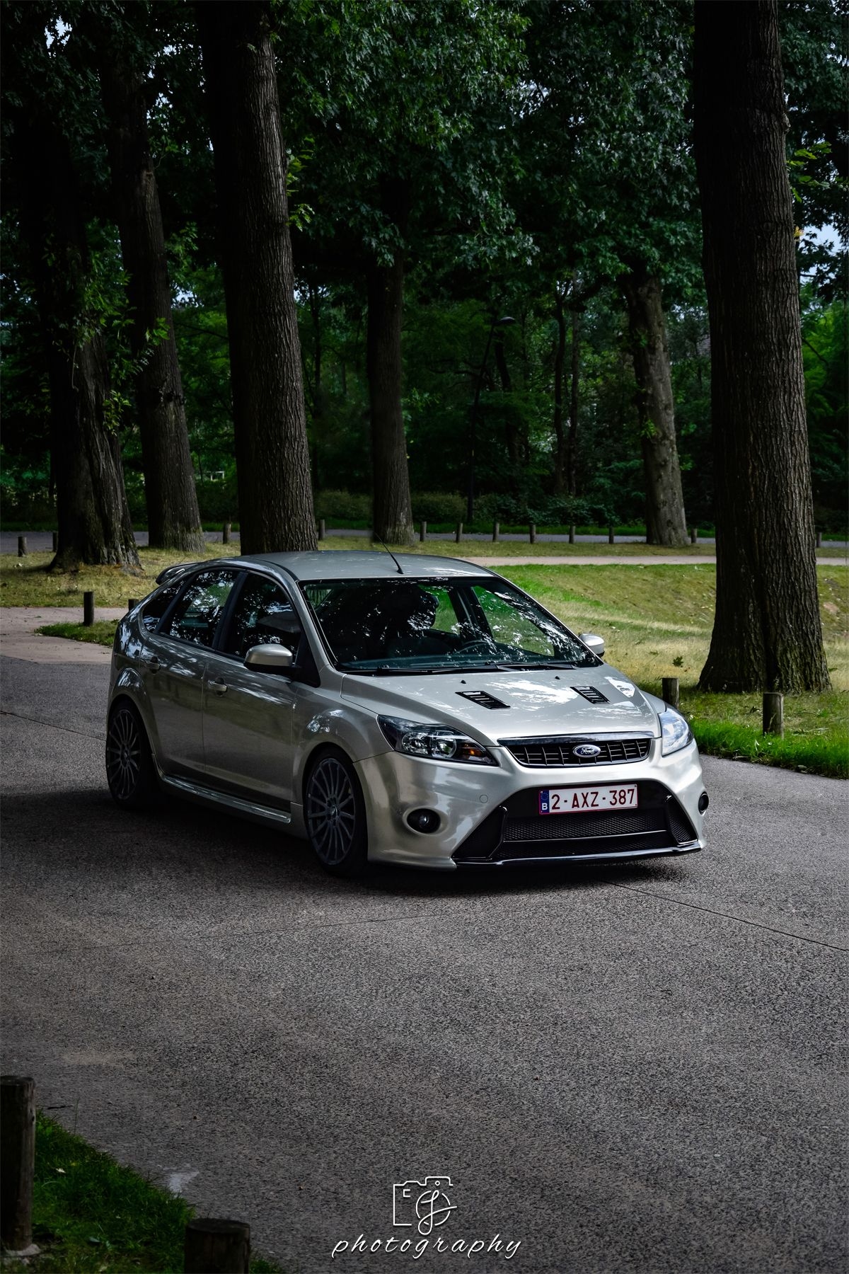 Zilveren Ford Focus rijdt op een kronkelige weg omringd door bomen.